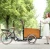 Import From original manufacture 3 wheel electric bike cargo trailer bicycle for sale from China