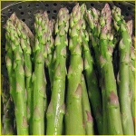 Frozen Asparagus