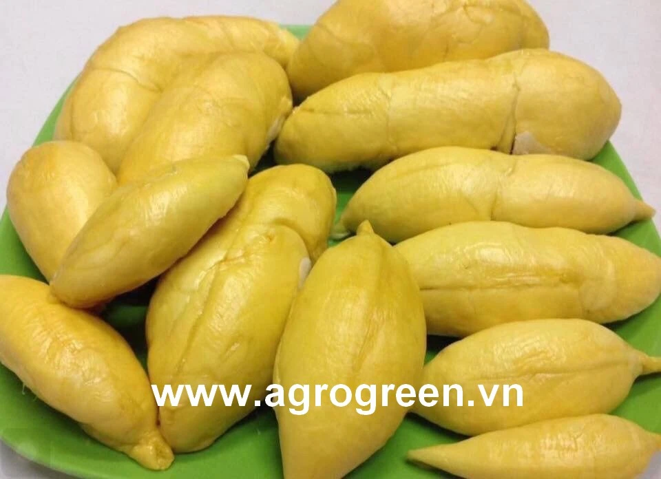 Frozen DURIAN Seedless with CHEAP PRICE,+84913222058, www.agrogreen.vn