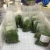 Import Frozen Wakame seasoned Seaweed salad from China