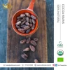 Fully Fermented Fatty Seed Fresh Quality Raw Ingredients Organic Cocoa Beans