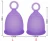 Import Furuize menstrual cup 100% medical silicone copa menstrual cup with ring Manufacturer from China