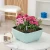 Import Garden Supplies Round Style Desktop Decor Bonsai Self Watering Plastic Flower Pot Plant from China