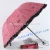 Import GD FS-YS3 New Folding Windproof Anti UV Clear/Rain Korean Lacework Princess Umbrella from China