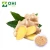 Import Ginger extract 6-gingerol 1% 2% 5% / the shelf life of powdered ginger from China