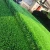 Import Good quality artificial grass certificate synthetic grass soccer sports artificial grass field turf from China
