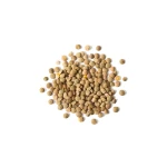Good quality dried lentils high nutrition value, food wholesale