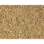 Good Quality Natural Guar Seeds