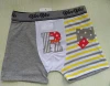 gray boys&#039; briefs for South American market