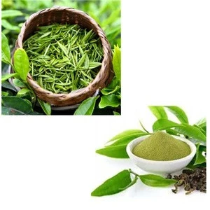 Green tea extract effective for weight loss at low doses Tea Polyphenols 98%