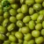 Import Green Vigna Beans Green mung beans of China Origin ton Price from China