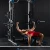 Import Gym Weightlifting Bar Competition Barbell Bar from China