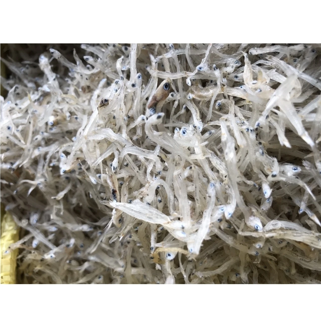 HACCP Dried Headon Fillet Part Piece Cold Dried Anchovy In Bag Packaging Export From Vietnam