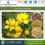 Halal Certified Cassia Gum Powder at Best Competitive Price
