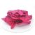Import Healthy Snacks Vacuum Fried Vegetable Chips VF Beetroot from China