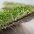 Import Hemp grow mat 100% natural jute fibre biodegradable seed tray microgreen trays from China