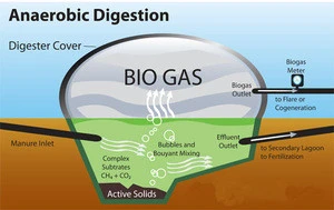 High Efficiency 50KW Biogas Methane Biomass Electricity Generator Set 50/60HZ