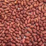 High Grade Raw Peanuts kernels and Peanuts / Roasted Blanched Peanuts Seeds for sale