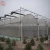 Import High quality 9.6m film greenhouse agriculture for sale from China