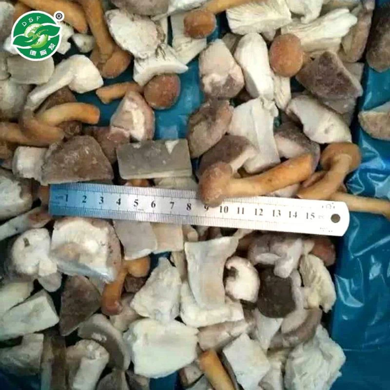 High quality BRC certified IQF frozen mixed mushrooms hot sale