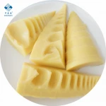 High Quality Canned bamboo shoots half