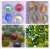 Import High quality cat eye glass marbles for Paint Factory from China