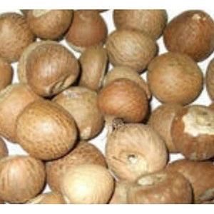High Quality Dried  Betel Nut  With Cheapest Price