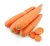 Import High quality fresh carrot fruits and vegetables (Certification: GAP...) from Vietnam