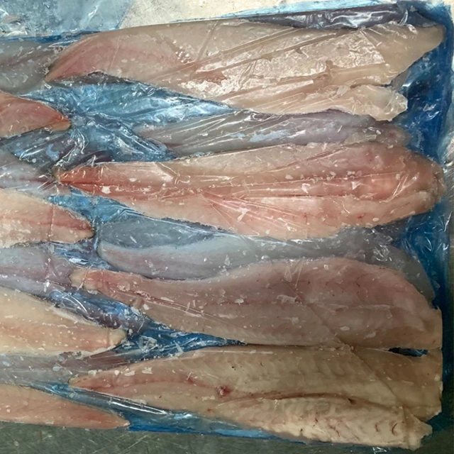 High quality Frozen Seafood Hake Fillet
