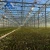 Import High Quality Large Agricultural Glass Greenhouse with Fully Automatic Control from China