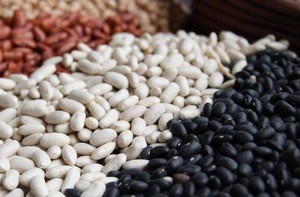 High quality light speckled kidney Beans, dry bean