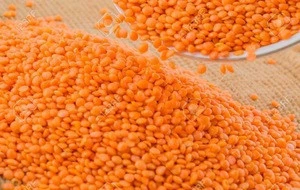 High Quality Organic Red Lentils Also bulk for sale