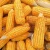 Import High Quality (Organic) Yellow Corn for animal feed from Ukraine from Ukraine