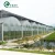 Import high quality plastic film  greenhouse for plant tomato from China