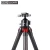Import High Quality Professional Cell Phone DSLR Portable Folding Tripod Stand from China
