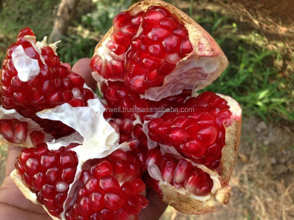 High quality Seedless Pomegranates from Egypt