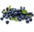 Import High quality sweet fresh frozen blueberries from China