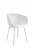 Import Home Furniture Colorful Plastic Dining Chairs PP Restaurant Chair from China