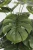 Import Hot Sale Artificial Bonsai Monstera Deliciosa Tree Plant Artificial Plants for decor from China