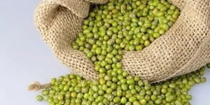 Hot sale high quality Green mung beans