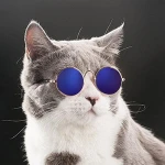 Hot Sale Pet Products Eye-wear Dog Sunglasses Photos Props Accessories Supplies Cat Glasses