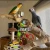 Import Hot Selling High Quality Bird Perch Wooden Pole Bird Standing Stick Bird Parrot Natural Stand Perch Toy from Indonesia