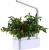 Import Hydroponic Smart Garden with LED grow light, smart home garden greenhouses from China