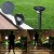 Import Ip65 Waterproof Outdoor All In One Daylight Dusk to Dawn PIR motion sensor Solar Lawn Light Solar Led Garden Light from China