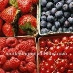 IQF Raspberry in Frozen Raspberry and frozen raspberries