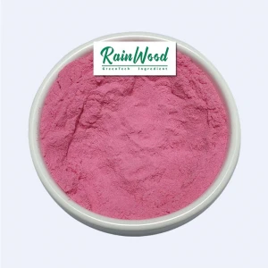 ISO wholesale strawberry powder 100% Natural freeze dried strawberry powder free sample strawberry juice powder