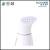 Import Kooeej Dongguan Manufacture 180ml mini travel garment steamer with CE/RoHS approval from China