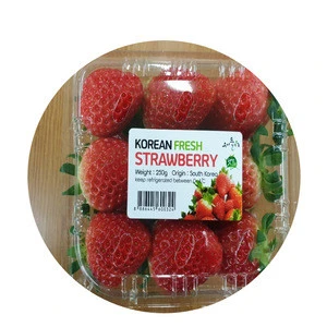 Korea Grown Fruit Seowooha Strawberry Fresh Delicious High Sugar Naturally Sweet Healthy Fruits for family and Kid