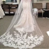 lace Cathedral veils long Wedding Embroidery veils Beaded appliqued bridal veils