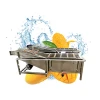 Large capacity ozone sterilization for fruit vegetable sterilizing washing cleaning equipment